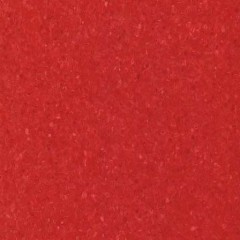 Homogeneous-Xin Jing Song&350