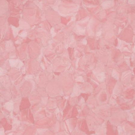 Homogeneous-No.5