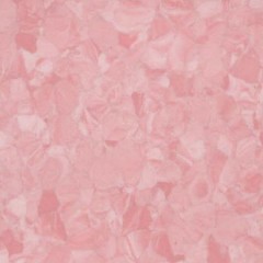Homogeneous-No.5