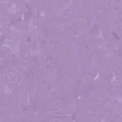 Homogeneous-No.2