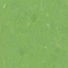 Homogeneous-No.2
