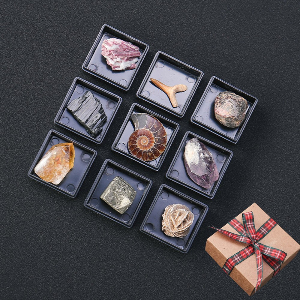 9pcs/set Natural Quartz Raw Stone Energy Collection Box Crystal Specimen Geography Teaching Decoration Gift