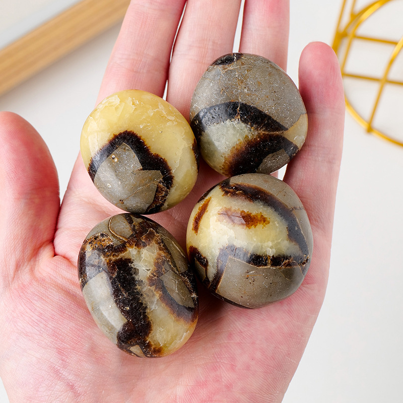 1PC Natural Turtle Back Tumble Stone Septarium Massage Palm Stone Healing Reiki Therapy Meditation Geometry Energy Finger Stone