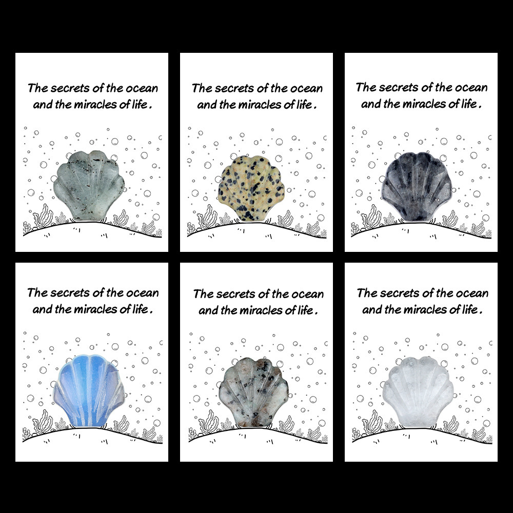 Healing Card Series 30mm Natural Crystal Agate Shell Shape Creative and Interesting Ocean Gem