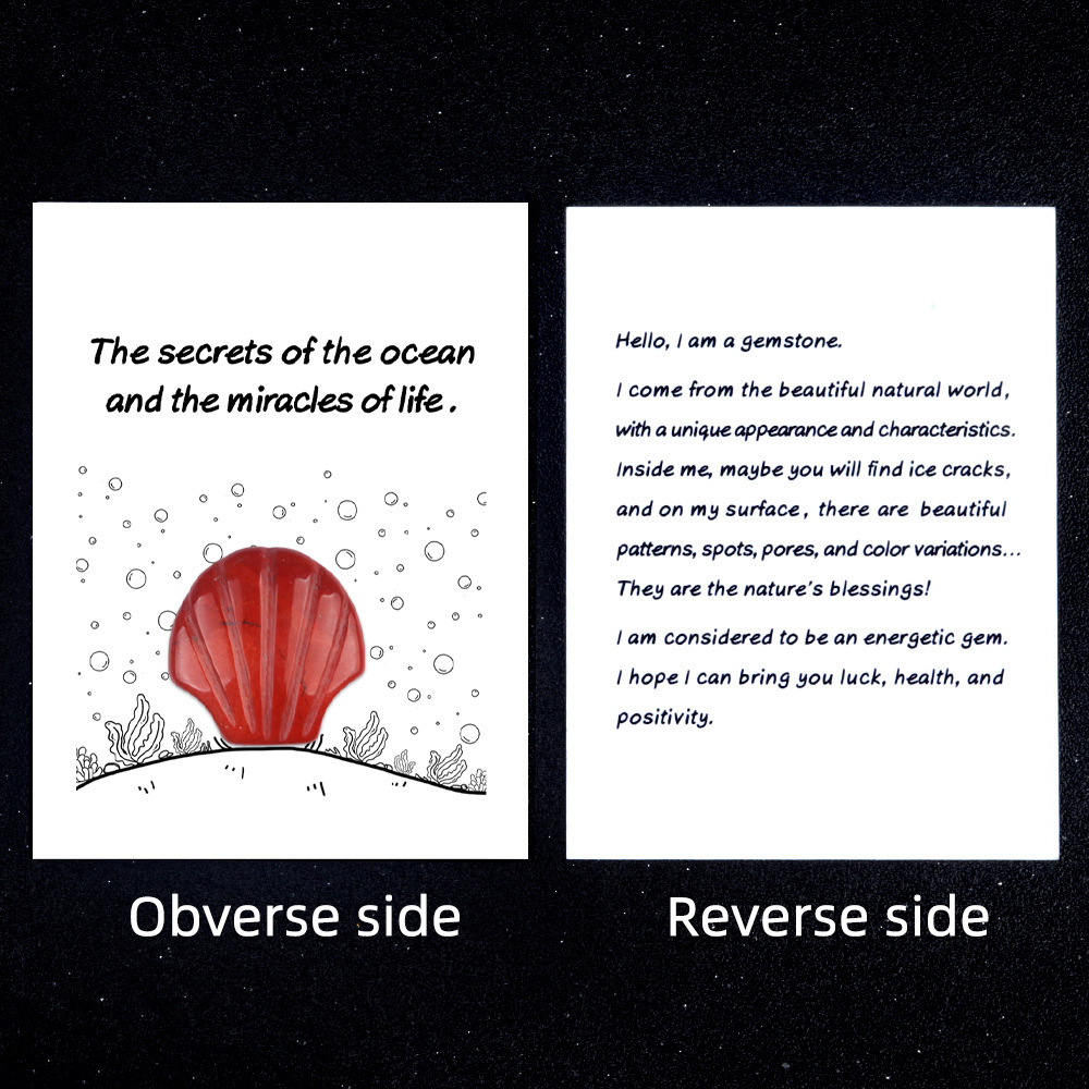 Healing Card Series 30mm Natural Crystal Agate Shell Shape Creative and Interesting Ocean Gem