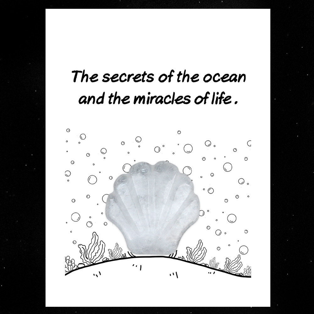 Healing Card Series 30mm Natural Crystal Agate Shell Shape Creative and Interesting Ocean Gem