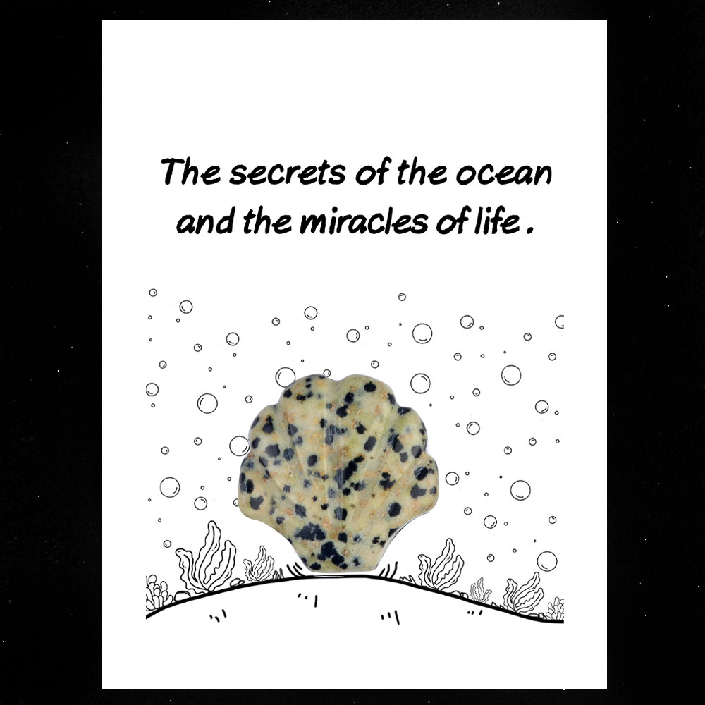 Healing Card Series 30mm Natural Crystal Agate Shell Shape Creative and Interesting Ocean Gem