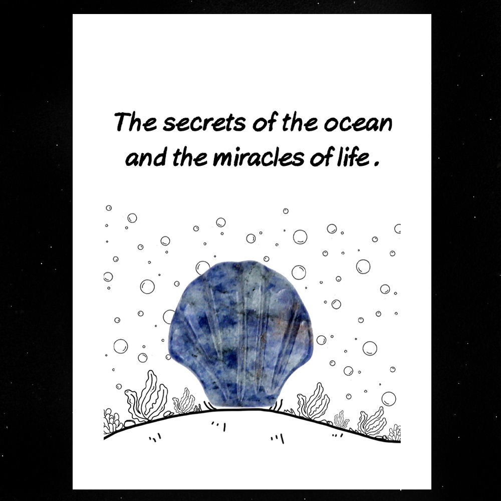 Healing Card Series 30mm Natural Crystal Agate Shell Shape Creative and Interesting Ocean Gem