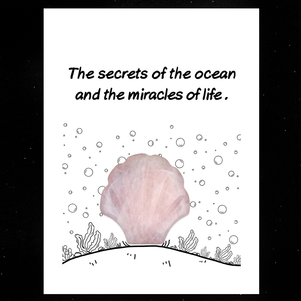 Healing Card Series 30mm Natural Crystal Agate Shell Shape Creative and Interesting Ocean Gem