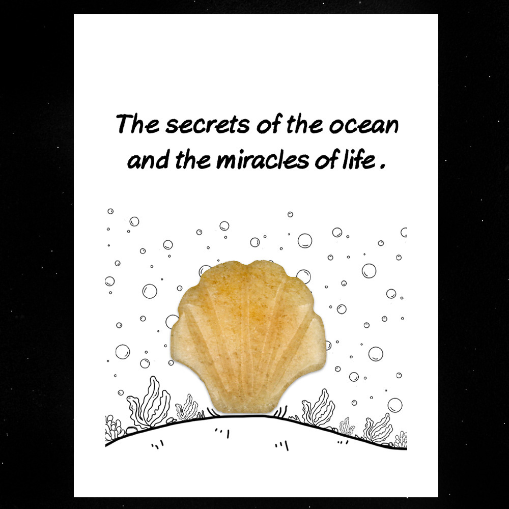 Healing Card Series 30mm Natural Crystal Agate Shell Shape Creative and Interesting Ocean Gem
