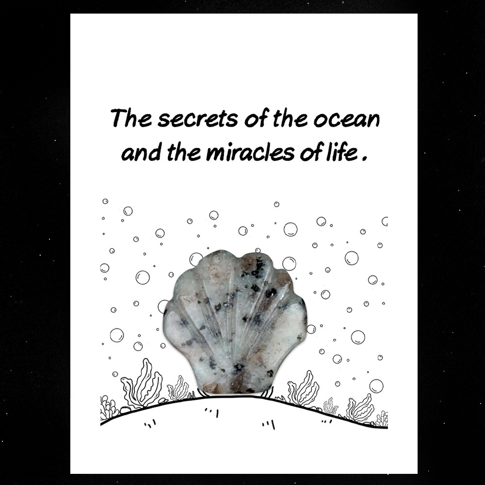 Healing Card Series 30mm Natural Crystal Agate Shell Shape Creative and Interesting Ocean Gem