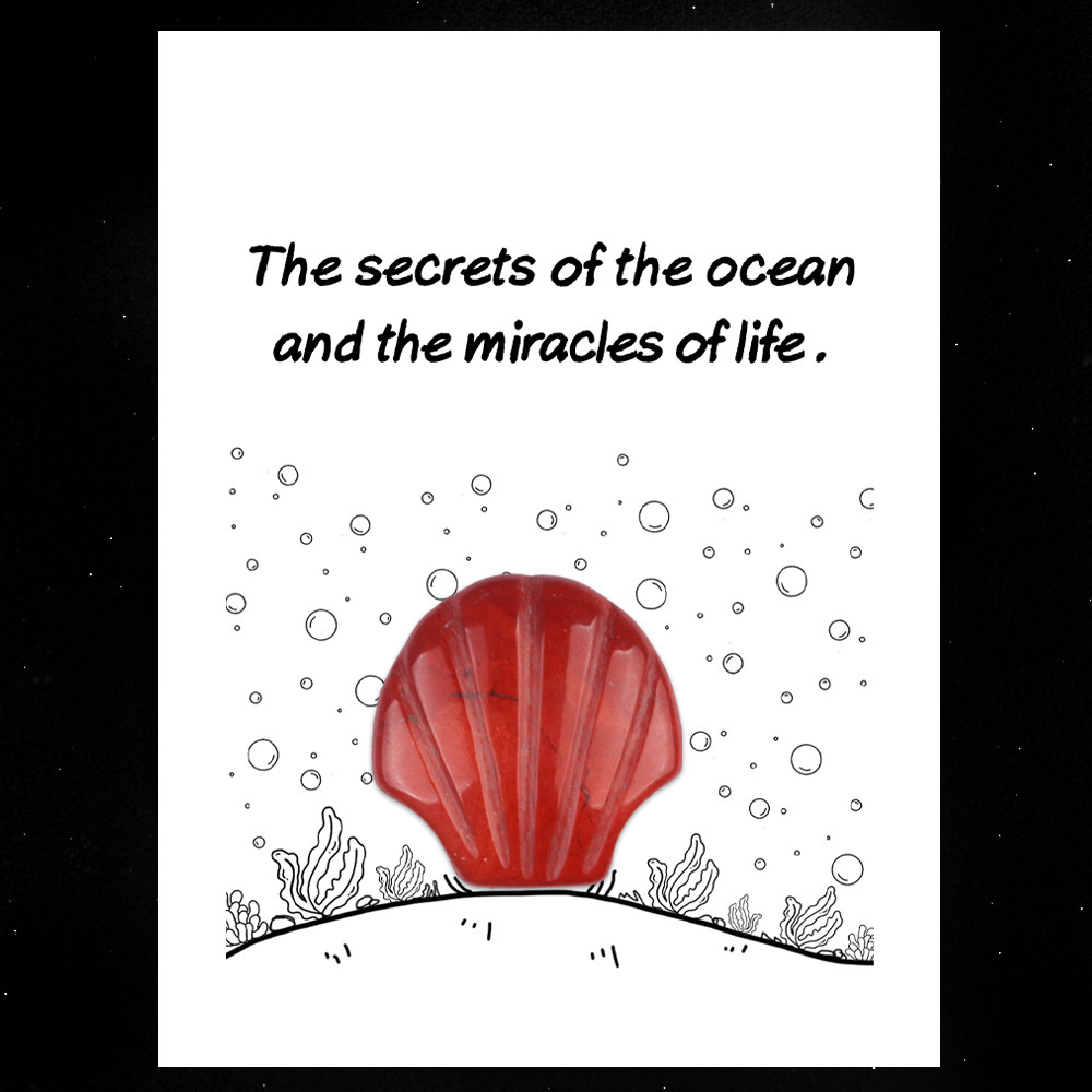 Healing Card Series 30mm Natural Crystal Agate Shell Shape Creative and Interesting Ocean Gem