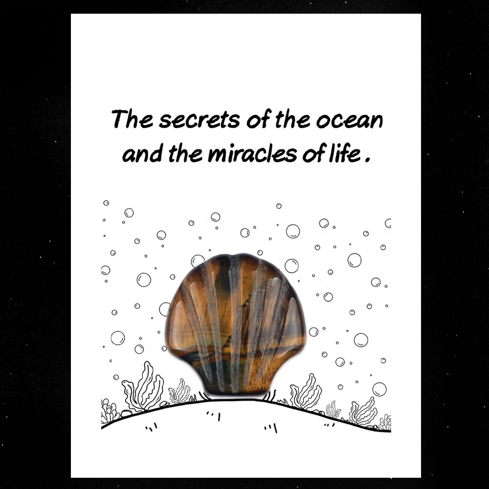 Healing Card Series 30mm Natural Crystal Agate Shell Shape Creative and Interesting Ocean Gem