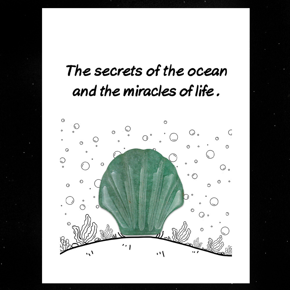 Healing Card Series 30mm Natural Crystal Agate Shell Shape Creative and Interesting Ocean Gem