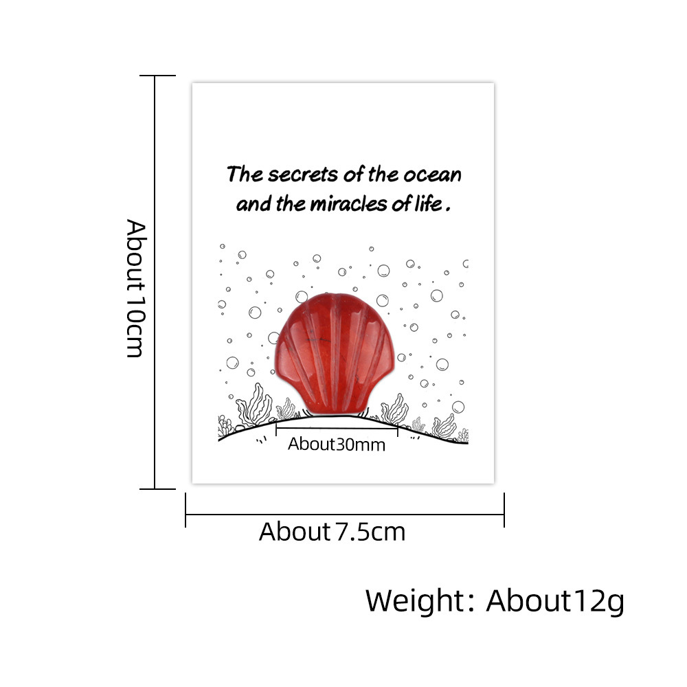 Healing Card Series 30mm Natural Crystal Agate Shell Shape Creative and Interesting Ocean Gem