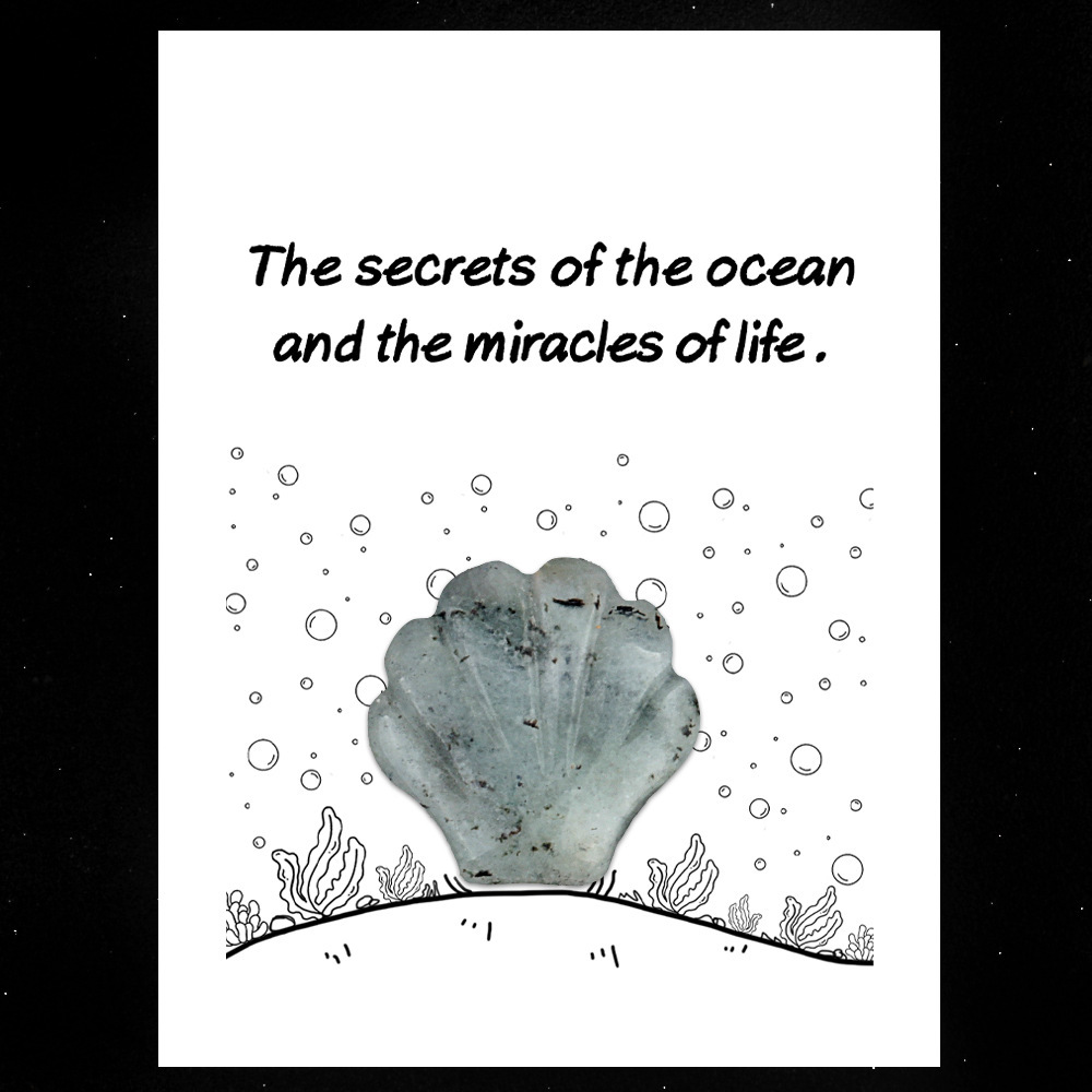 Healing Card Series 30mm Natural Crystal Agate Shell Shape Creative and Interesting Ocean Gem