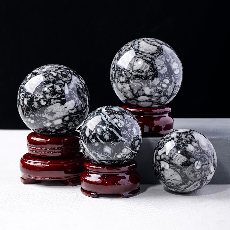 Natural crystal insect fossil ball shell stone raw stone polished crystal crafts