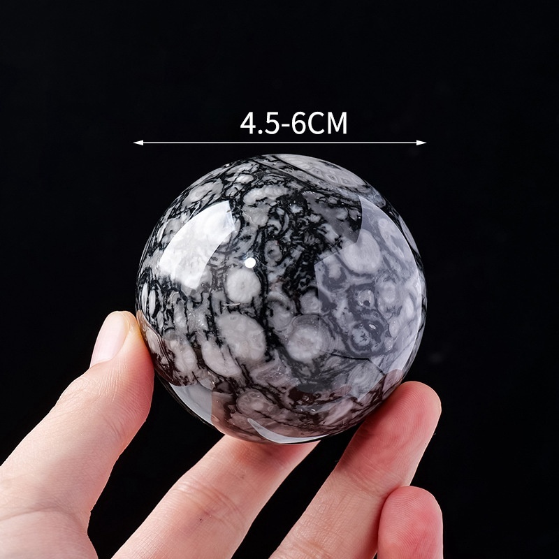 Natural crystal insect fossil ball shell stone raw stone polished crystal crafts