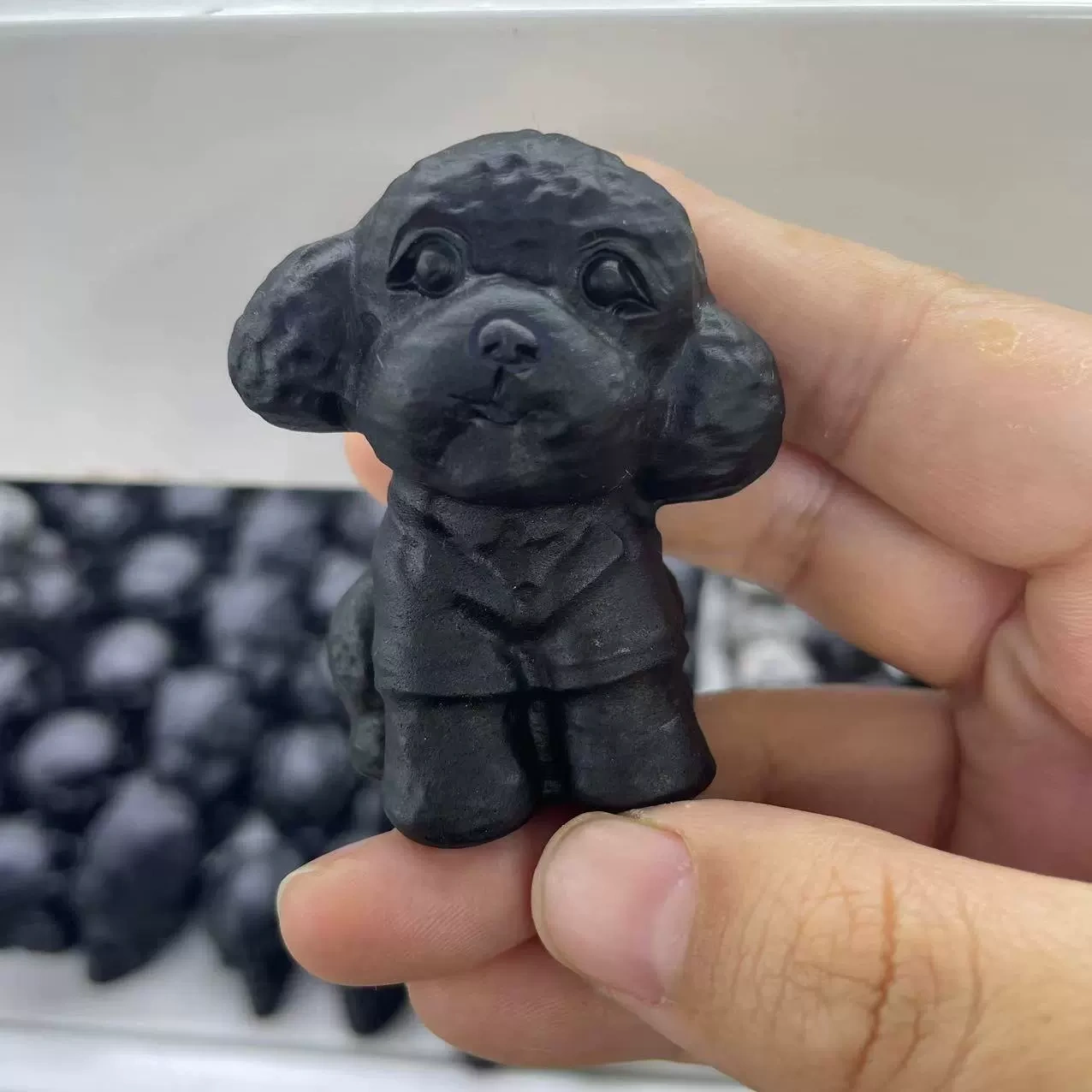 Obsidian Matte Teddy Schnauzer Puppy