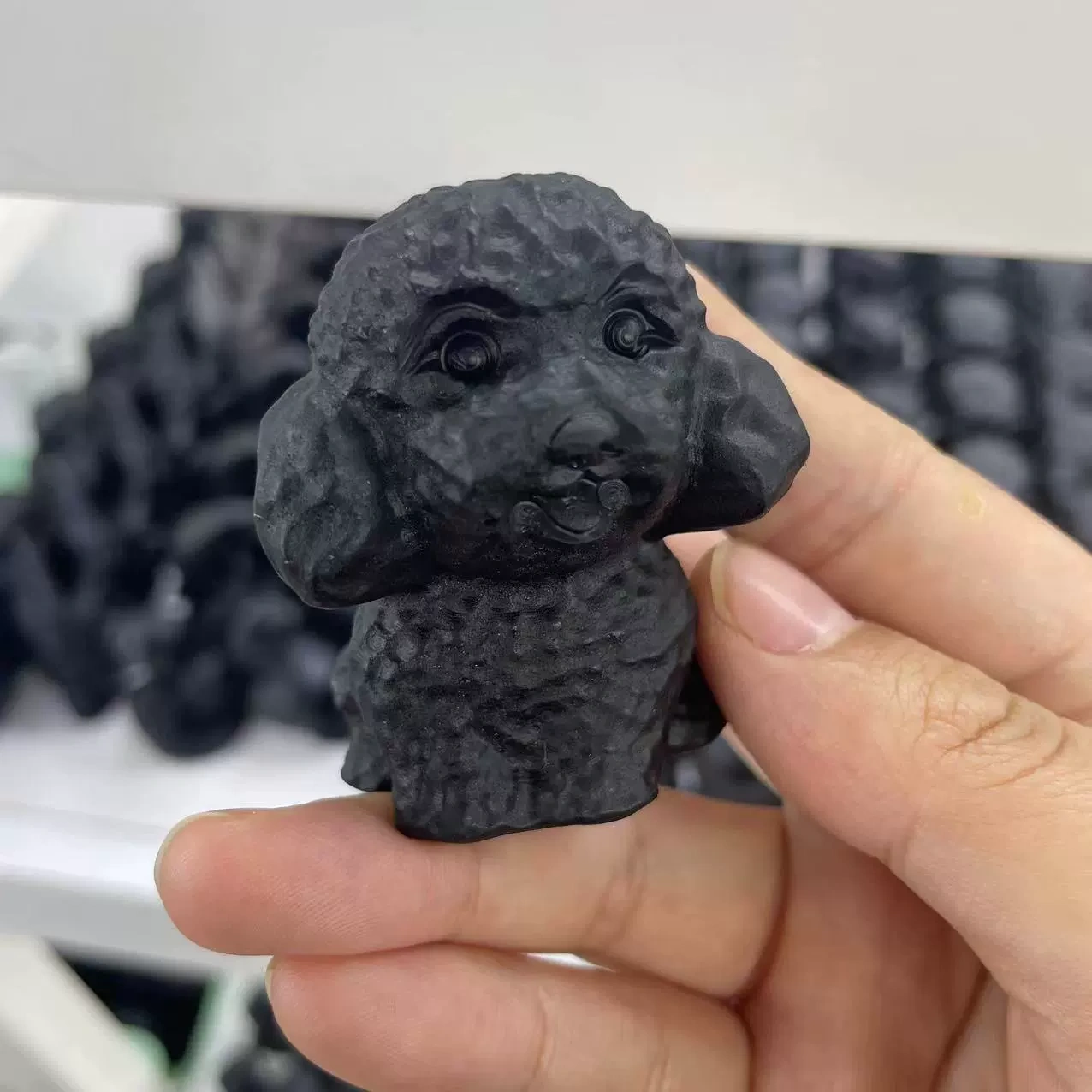 Obsidian Matte Teddy Schnauzer Puppy