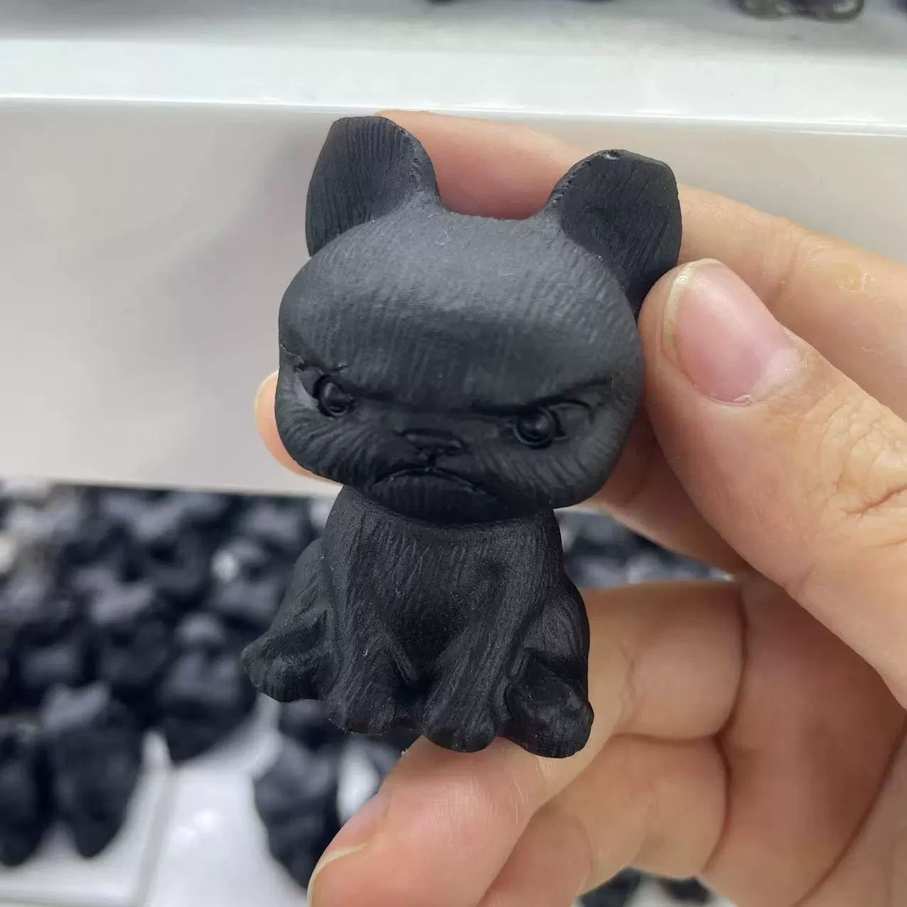 Obsidian Matte Teddy Schnauzer Puppy