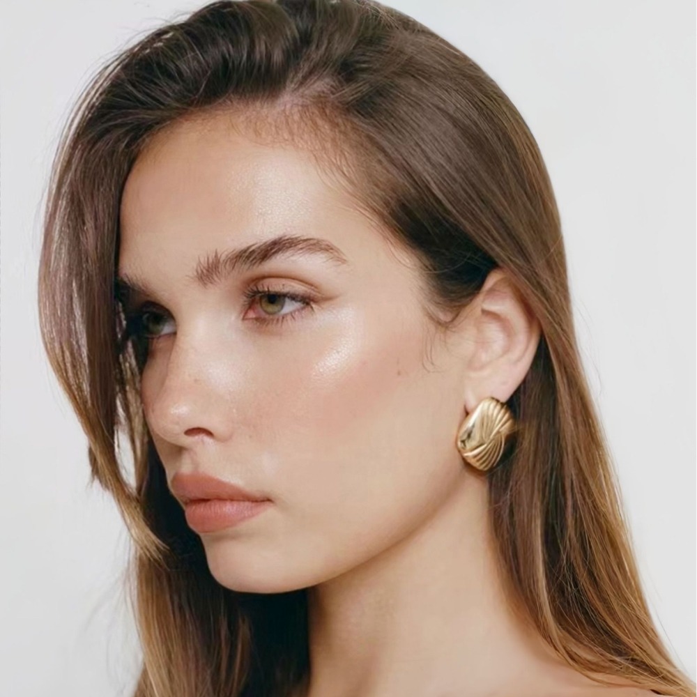 Wings Water Ripple Square Stainless Steel Earrings Light Luxury Trendy Earrings
