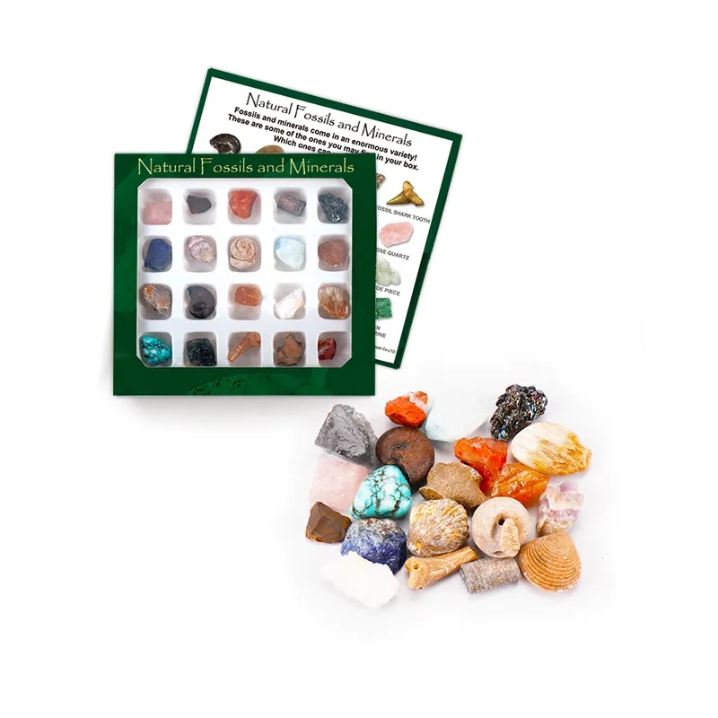 MYK4182-Custom Natural Fossils and Minerals
