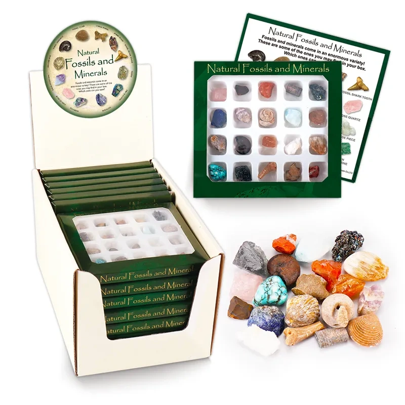 MYK4182-Custom Natural Fossils and Minerals