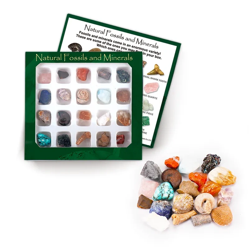 MYK4182-Custom Natural Fossils and Minerals