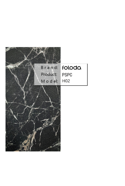 PSPC-H02