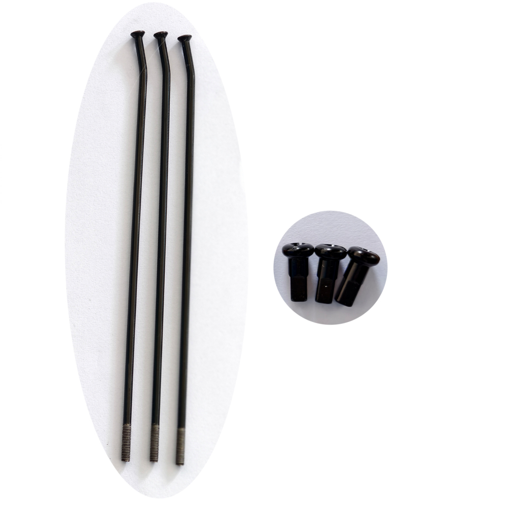 3 PCS  of  Stainless Steel Spokes with Nipples