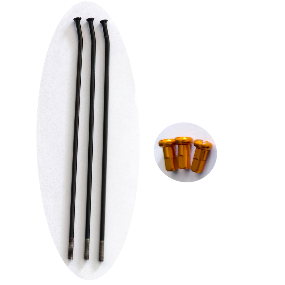 3 PCS  of  Stainless Steel Spokes with Nipples
