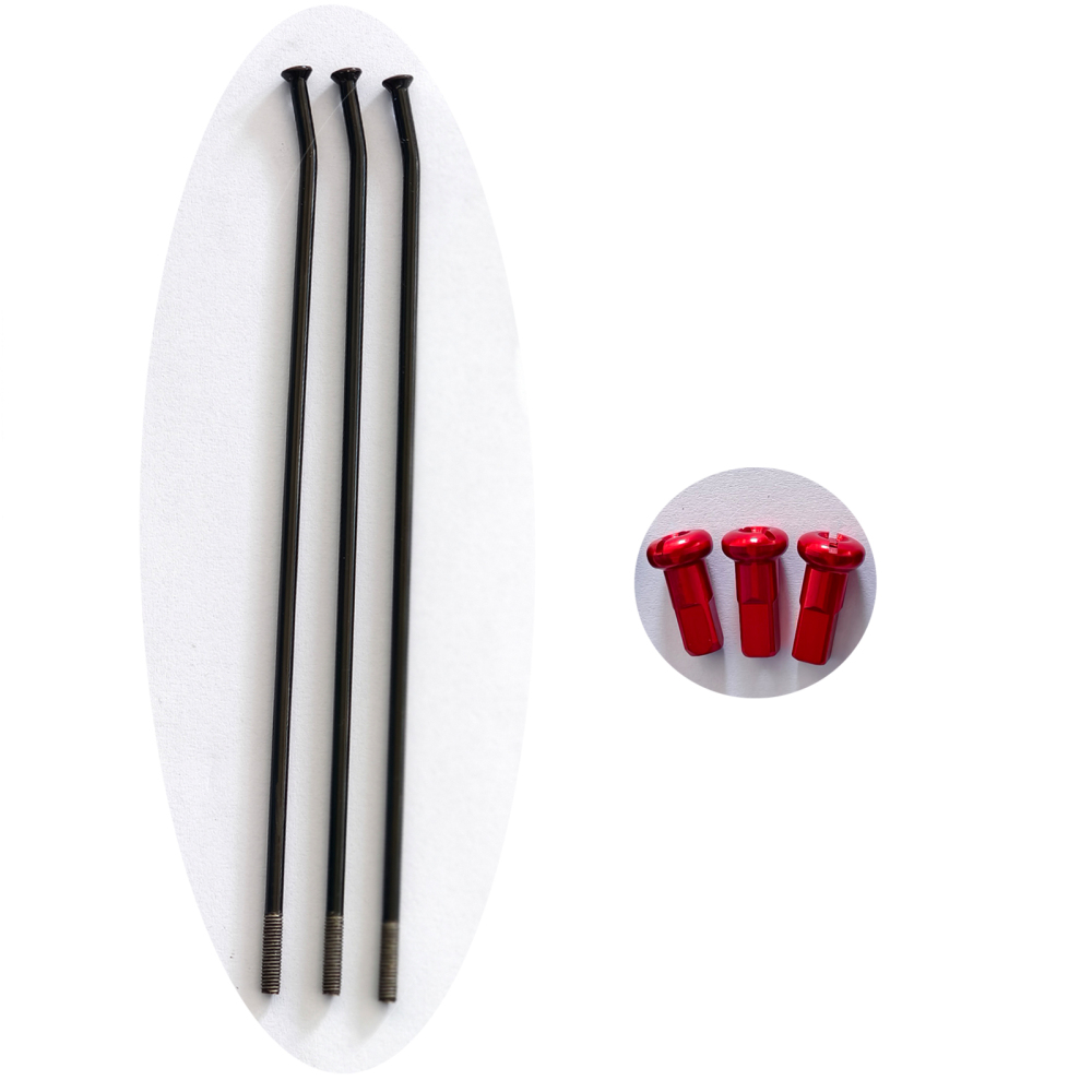 3 PCS  of  Stainless Steel Spokes with Nipples