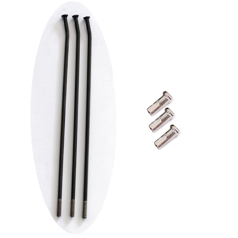 3 PCS  of  Stainless Steel Spokes with Nipples