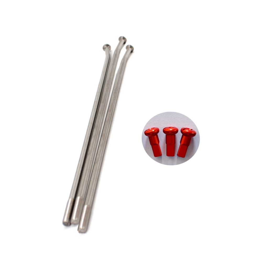 3 PCS  of  Stainless Steel Spokes with Nipples