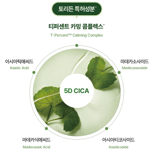 TORRIDEN BALANCEFUL CICA MASK