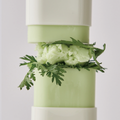 BEAUTY OF JOSEON MATTE SUN STICK : MUGWORT + CAMELIA