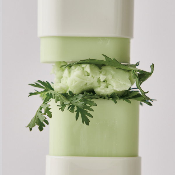 BEAUTY OF JOSEON MATTE SUN STICK : MUGWORT + CAMELIA
