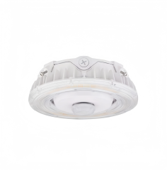 WS-PG05-100W | 120-347V | 3CCT - LED Canopy Light