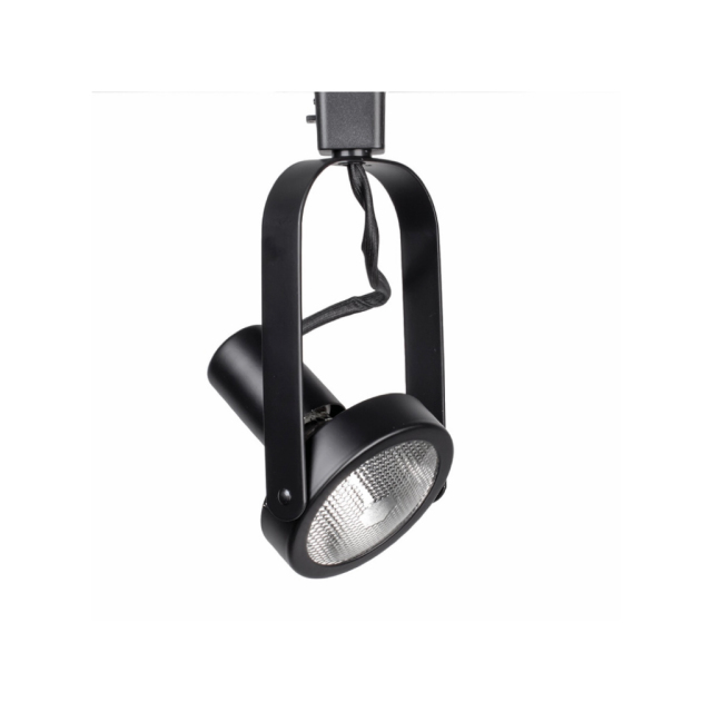 LTR-PAR30-BK - PAR30 Lamps Line Voltage Track Fixture Black
