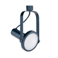 LTR-PAR38-BK - PAR38 Lamps Line Voltage Track Fixture Black