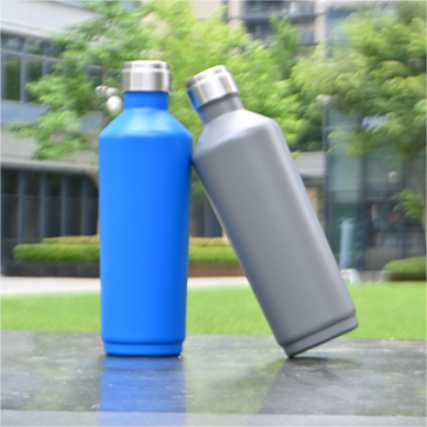 750ML Double Wall Water Bottle