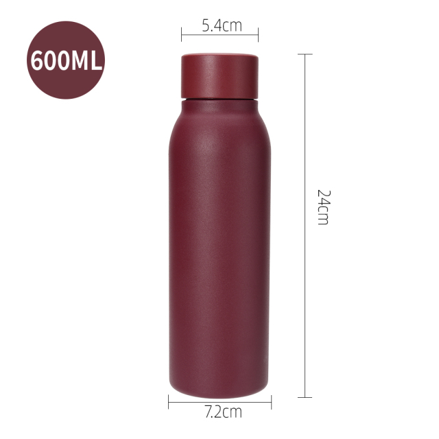 Yuchuan 600ml Stainless Steel Sports Water Bottle With Press Lid - Double Wall Vacuum Insulation Tumbler