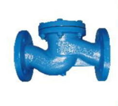 DIN Lift Check Valve