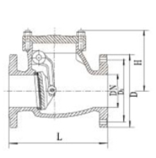 DIN Swing Check Valve