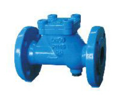 Ball Check Valve