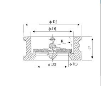 Dual Plate Check Valve