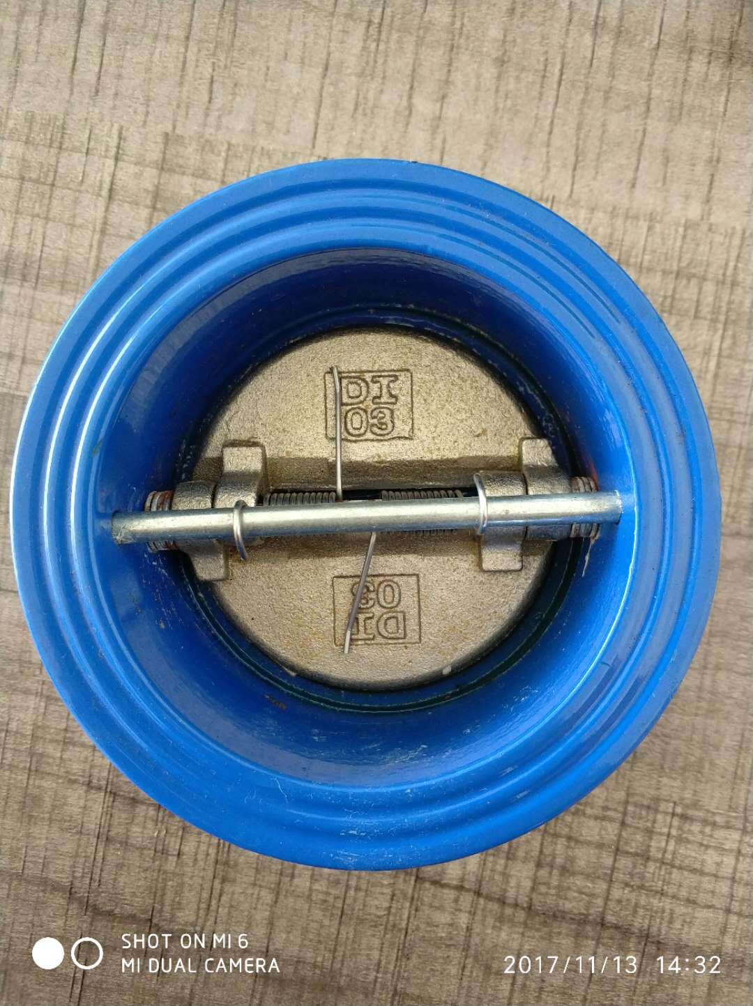 Dual Plate Check Valve