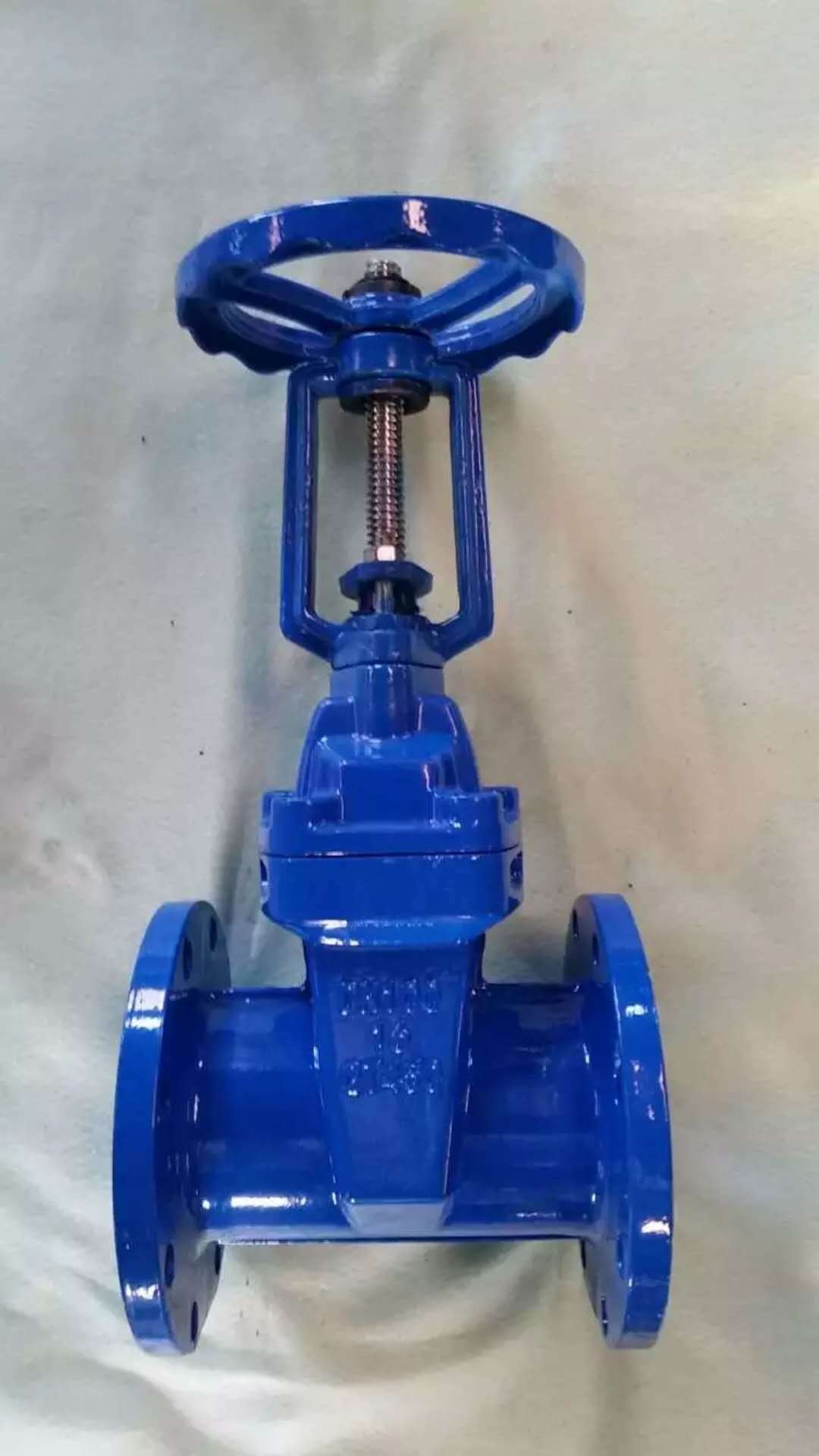 DIN Resilient Seat Gate Valve F4/F5
