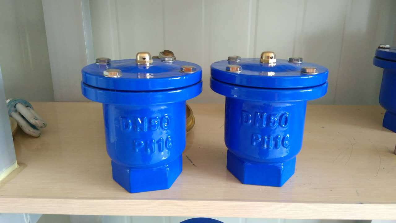 Screw End Air Valve